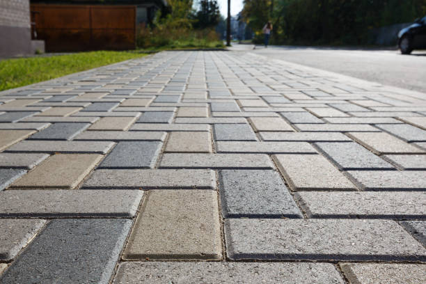 Best Driveway Paving Contractor  in East Grand Forks, MN