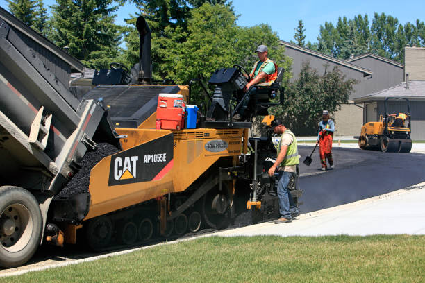 Best Local Driveway Pavers  in East Grand Forks, MN
